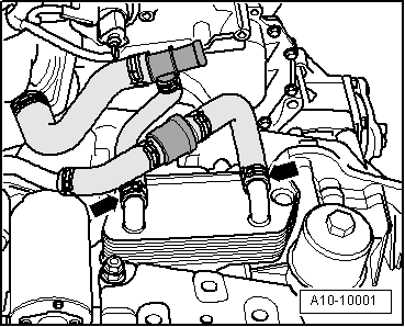 Seat Ibiza. A10-10001
